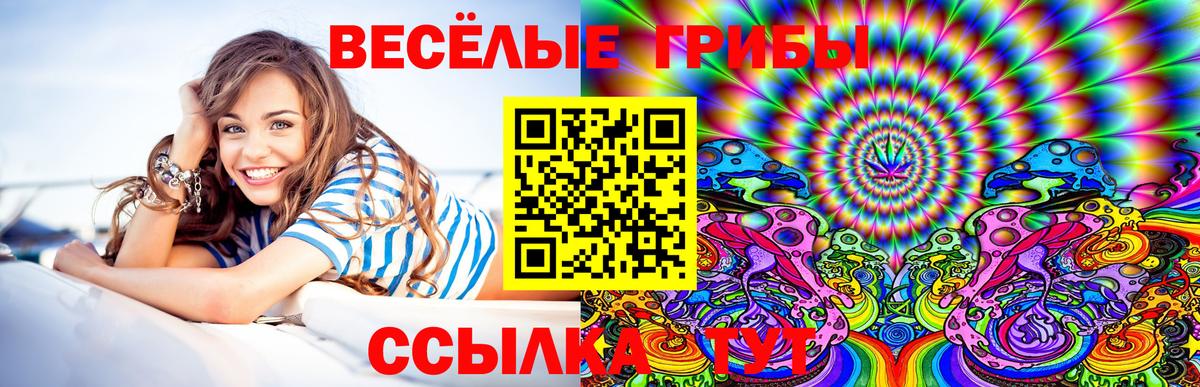 Нерюнгри  Псилоцибиновые грибы мухоморы  Вход с VPN 