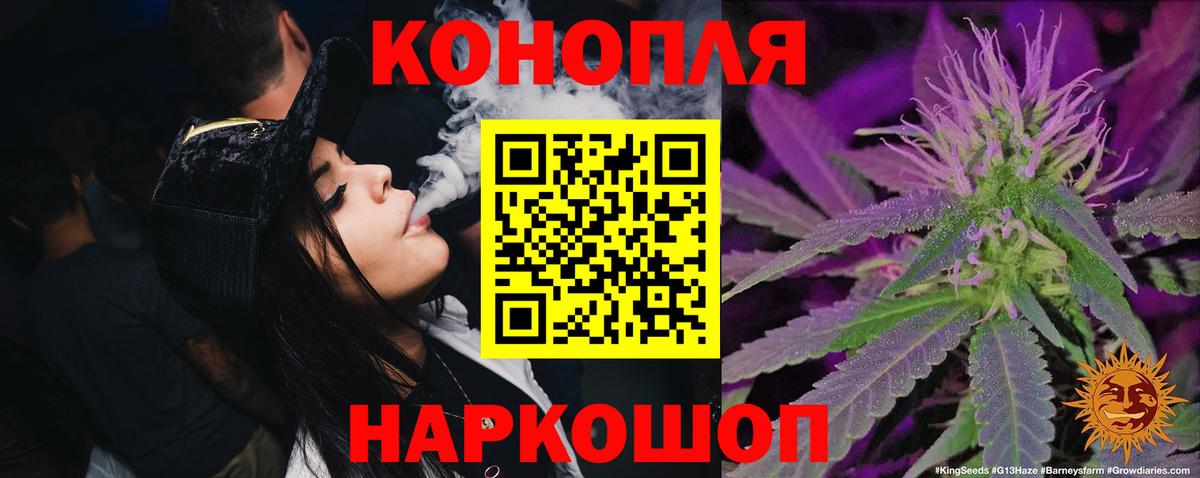 Конопля White Widow  Бошки Шишки семена  Марихуана OG Kush  Вход с VPN  Нерюнгри 